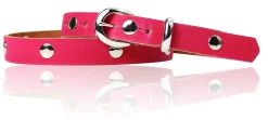 ROCK STAR Kindergürtel Gürtelschnalle und Schlaufe silber, echtes Leder durchgenietet, 2 cm breit